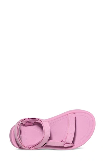 Shop Teva Hurricane Xlt 2 Ampsole Sandal In Pastel Pink