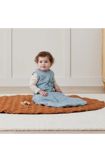 Ergopouch 2.5 Tog Organic Jersey Wearable Blanket In Dragonflies