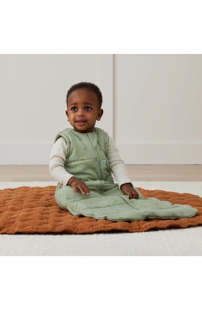 Shop Ergopouch 2.5 Tog Organic Jersey Wearable Blanket In Willow