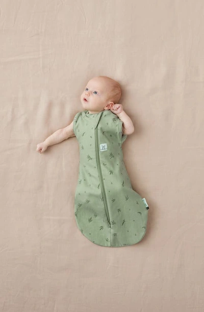 Shop Ergopouch 1.0 Tog Organic Cotton Cocoon Swaddle Sack In Willow