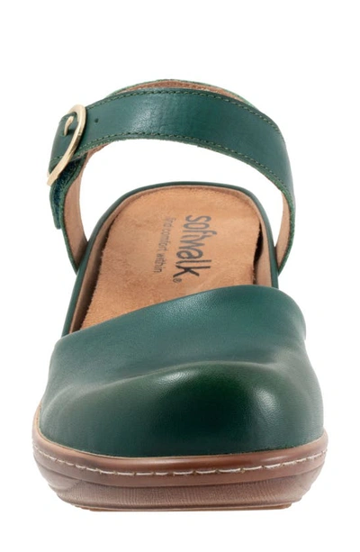 Softwalk Mabelle Ankle Strap Clog In Dk Green