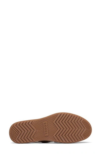 Shop Sorel Dayspring Slingback Platform Sandal In Honest Beige/ Chalk