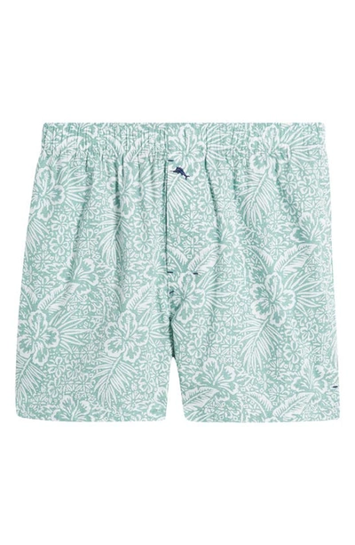 Shop Tommy Bahama Cotton Pajama Boxers In Mint Print