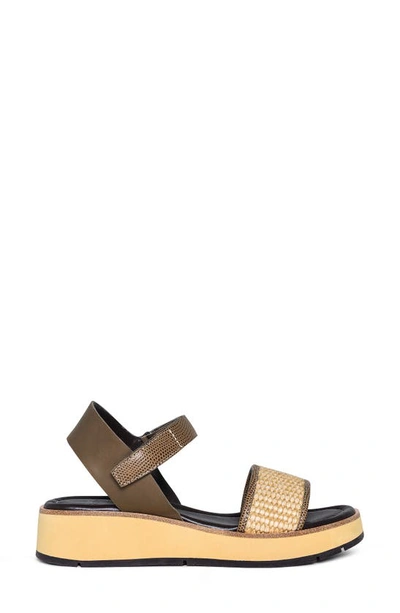 Donald Pliner Wedge Platform Sandal In Biscotti