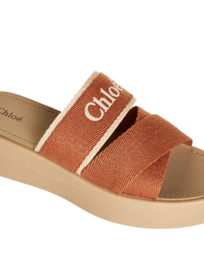 Shop Chloé Chloè Sandals In Brown Delight