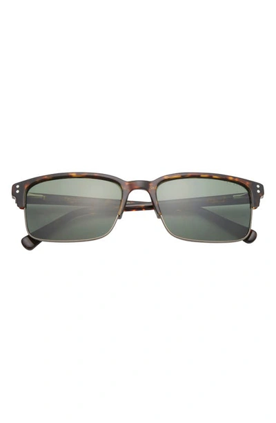 Shop Ted Baker 55mm Polarized Square Sunglasses In Tortoise