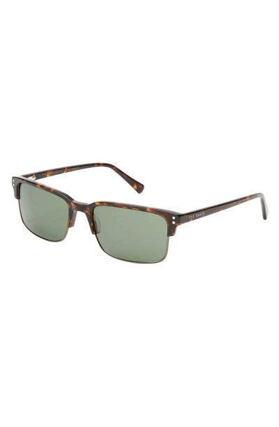 Shop Ted Baker 55mm Polarized Square Sunglasses In Tortoise