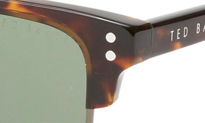 Shop Ted Baker 55mm Polarized Square Sunglasses In Tortoise