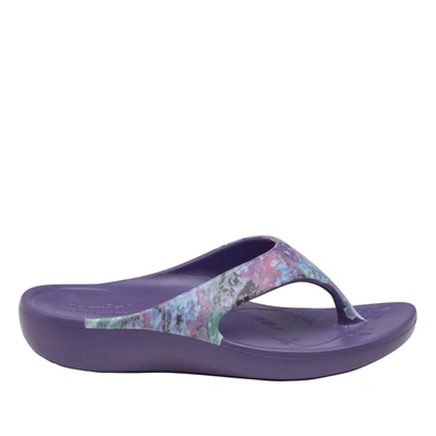 Shop Alegria Women's Ode Sandal In Itchycoo Grey In Multi