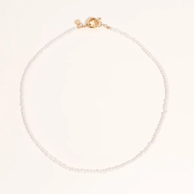 Shop Joey Baby Carrie Freshwater Pearl Necklace In Silver