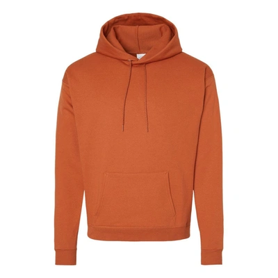Shop Hanes Ecosmart Hooded Sweatshirt In Brown