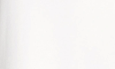Maggy London Mesh Illusion Short Sleeve Dress In Ivory