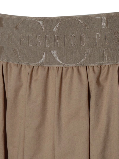 Shop Peserico Skirt In Multicolor