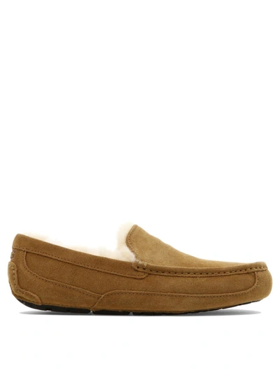 Shop Ugg "ascot" Loafers In Beige