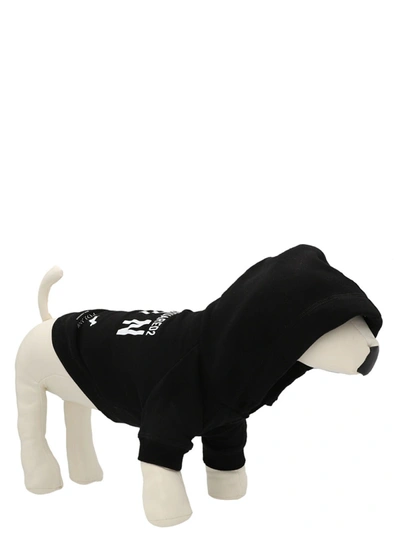 Shop Dsquared2 Felpa Con Cappuccio Per Cane  X Poldo Dog Lifestyle White/black