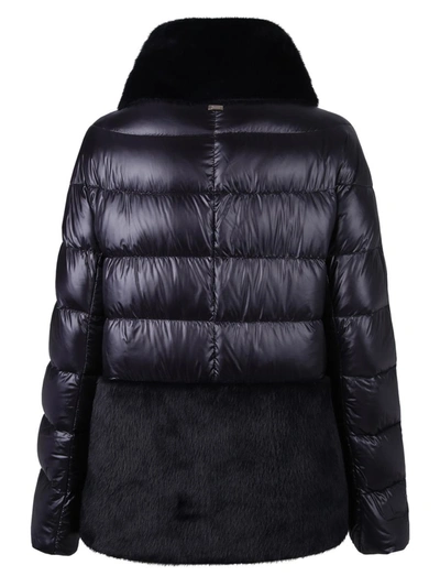 Shop Herno Down Jackets In Black