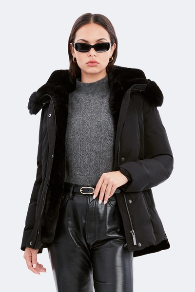 Dawn Levy - Official Website Luka In Black