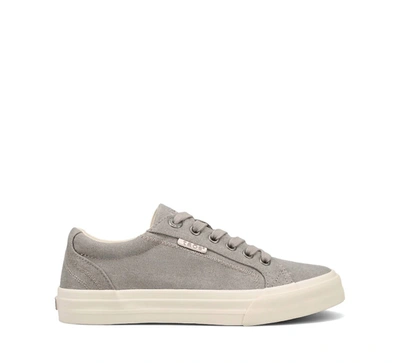 Shop Taos Women's Plim Soul Sneaker - Medium Width In Grey Wash