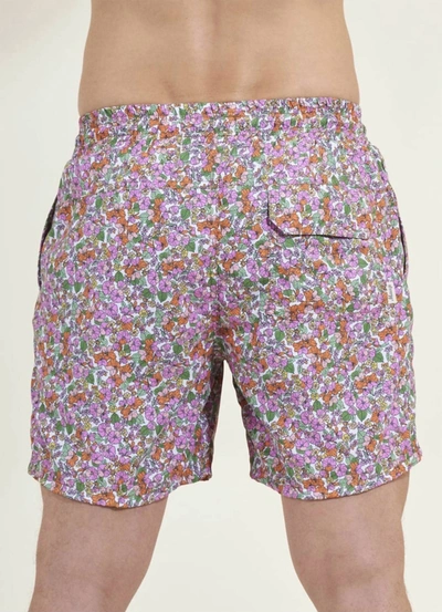 Maaji Petite Pompom Sailor Men Trunks In Multi In Multi