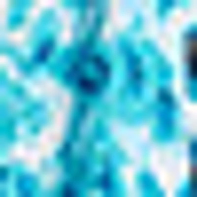 Bebe Printed Chiffon Midi Dress In Blue Paisley