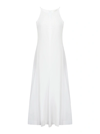 Shop Sportmax Cactus Dress In White