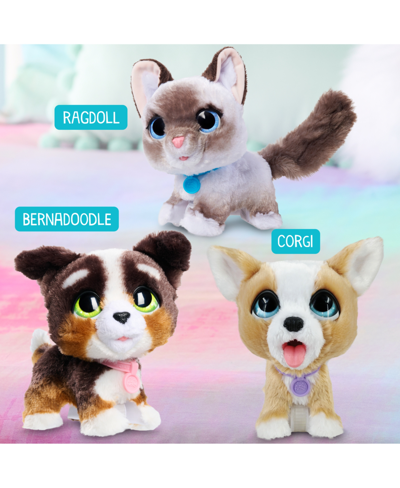 Shop Furreal Friends Poop-a-lots Corgi Interactive Toy, 8" Walking Plush Puppy With Sounds, 4-pieces In No Color
