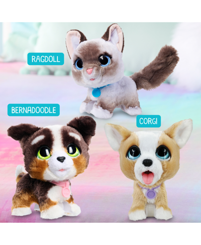 Furreal Friends Poop-a-lots Corgi Interactive Toy, 8" Walking Plush Puppy With Sounds, 4-pieces In No Color