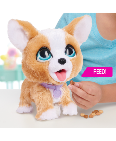 Furreal Friends Poop-a-lots Corgi Interactive Toy, 8" Walking Plush Puppy With Sounds, 4-pieces In No Color