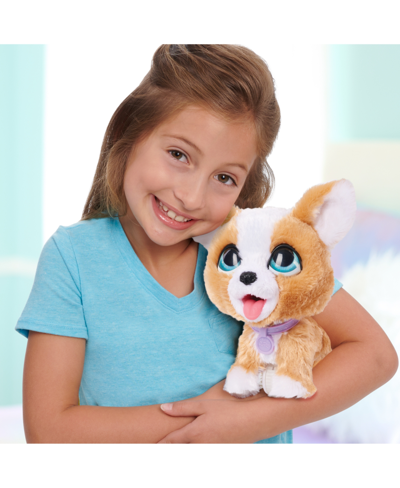 Furreal Friends Poop-a-lots Corgi Interactive Toy, 8" Walking Plush Puppy With Sounds, 4-pieces In No Color