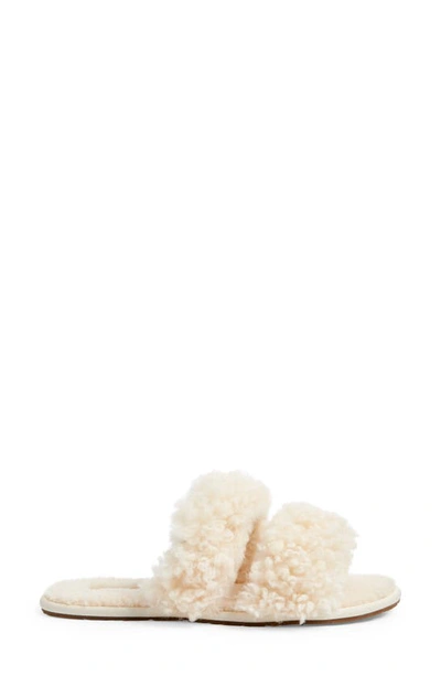 Shop Ugg Maxi Curly Genuine Shearling Scuffetta Slipper In Creamy Natural