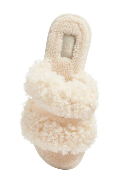 Shop Ugg Maxi Curly Genuine Shearling Scuffetta Slipper In Creamy Natural