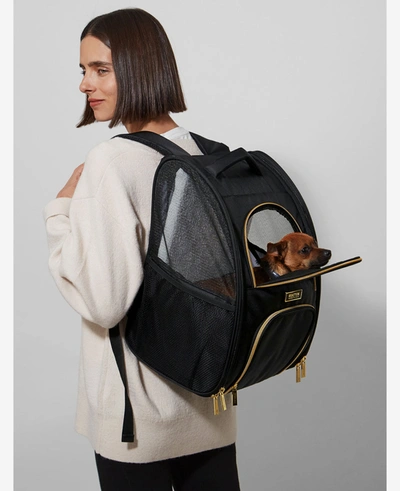 Shop Kenneth Cole Pet Carrier Backpack In Black
