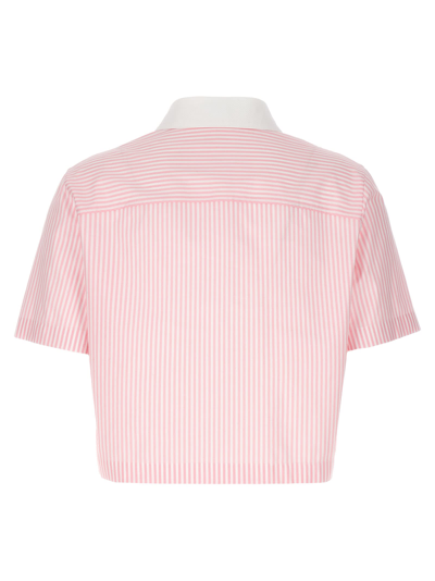 Shop Versace Striped Cropped Shirt In Rosa E Bianco
