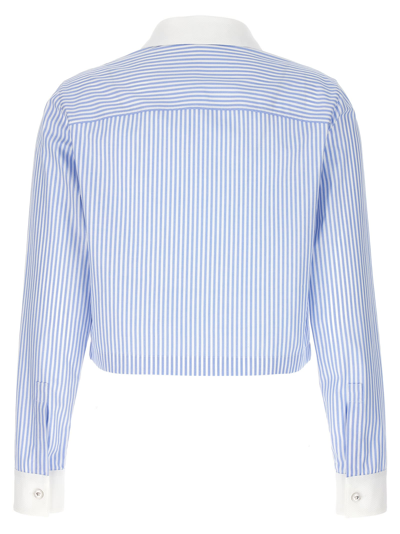 Shop Versace Striped Cropped Shirt In Celeste E Bianco
