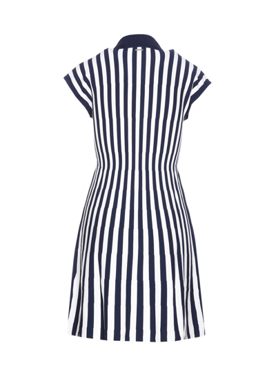 Shop Liu •jo Shortsleeves Knit Dress In Blu E Bianco