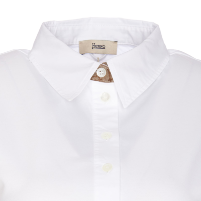 Shop Herno Polo In Bianco