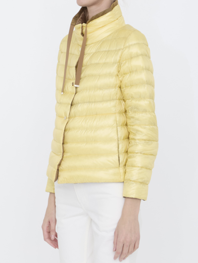 Shop Herno Reversible Padded Jacket In Beige/giallo