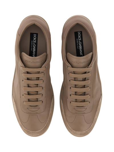 Shop Dolce & Gabbana Saint Tropez Sneaker In Tortora