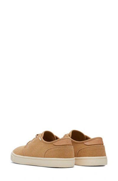 Shop Toms Carlo Sneaker In Brown