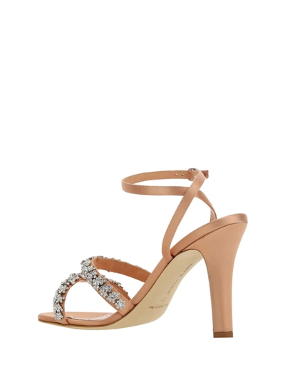 Shop Manolo Blahnik Women Vedava Sandals In Multicolor