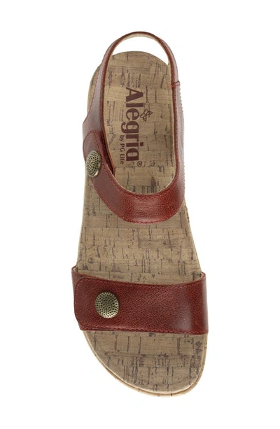 Shop Alegria By Pg Lite Marta Ankle Strap Platform Wedge Sandal In Garnet