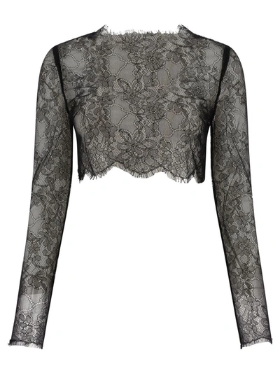 Shop Dolce & Gabbana Sheer Lace Cropped Top In Black