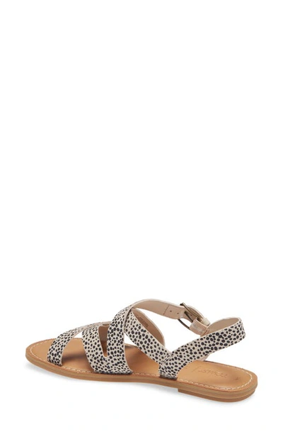 Shop Toms Sicily Flat Sandal In Taupe Suede