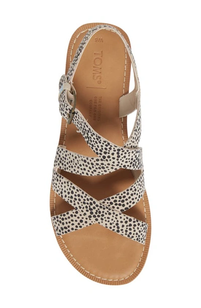 Shop Toms Sicily Flat Sandal In Taupe Suede