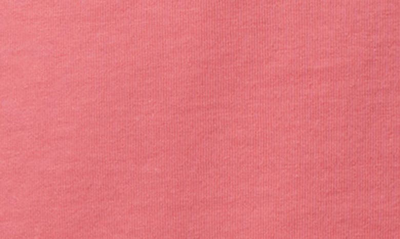 Psycho Bunny Kingwood Embroidered T-shirt In Grapefruit