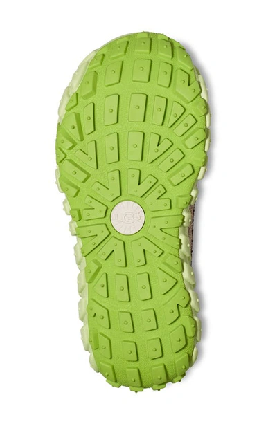 Shop Ugg Gender Inclusive Venture Daze Platform Indoor/outdoor Slip-on Shoe In Ceramic / Caterpillar