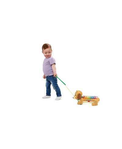 Shop Vtech Zoo Jamz Doggy Xylophone In No Color
