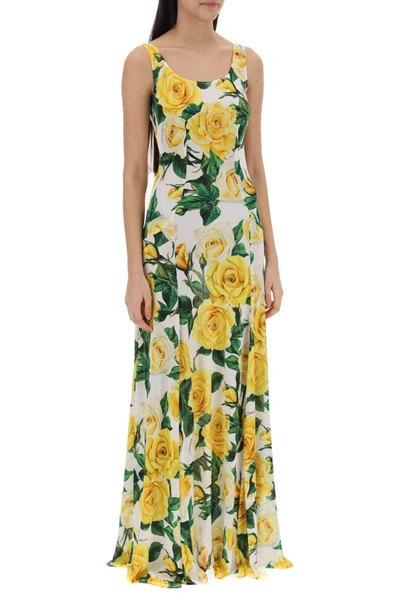 Shop Dolce & Gabbana Maxi Dress With Rose Print