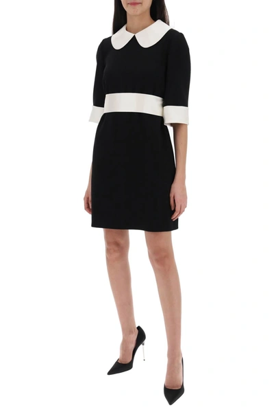 Dolce & Gabbana Peter Pan-collar Short-sleeve Belted Crepe Mini Dress