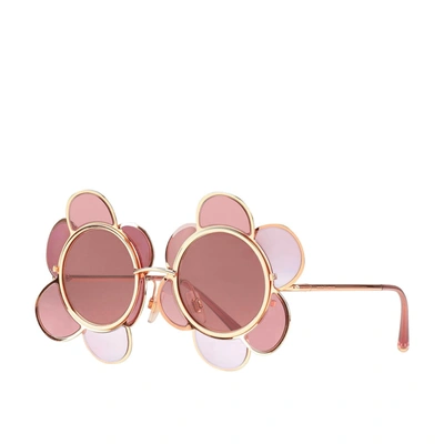 Shop Dolce & Gabbana Special Edition Flower Sunglasses